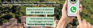 WhatsApp Pelago