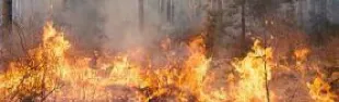 Incendi Pelago