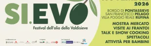 Striscione CIVI-PELAGO (2).png