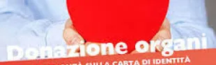 Descrizione immagine non disponibile