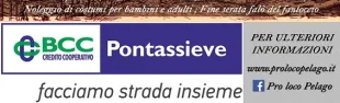 Descrizione immagine non disponibile