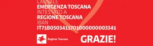 Descrizione immagine non disponibile