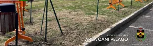 Descrizione immagine non disponibile