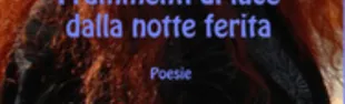 Descrizione immagine non disponibile