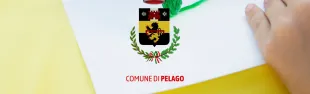 Descrizione immagine non disponibile