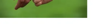 Descrizione immagine non disponibile