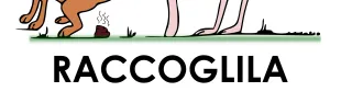Descrizione immagine non disponibile