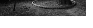 Descrizione immagine non disponibile