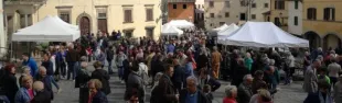 Descrizione immagine non disponibile