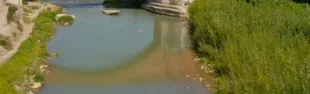 Descrizione immagine non disponibile