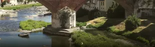 Descrizione immagine non disponibile