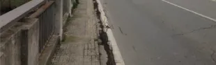 Descrizione immagine non disponibile