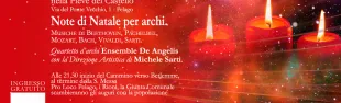 Descrizione immagine non disponibile