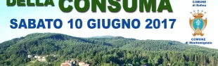 Descrizione immagine non disponibile