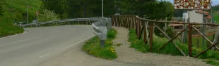 Descrizione immagine non disponibile