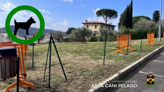 Descrizione immagine non disponibile