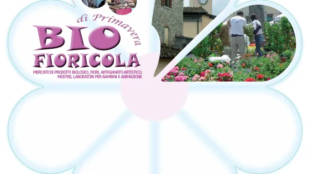 Descrizione immagine non disponibile