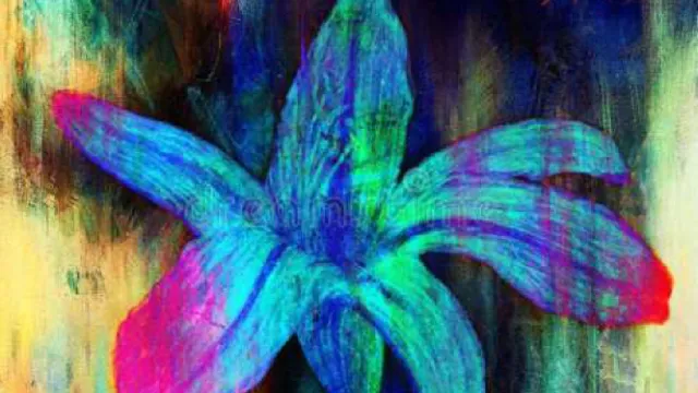 Descrizione immagine non disponibile