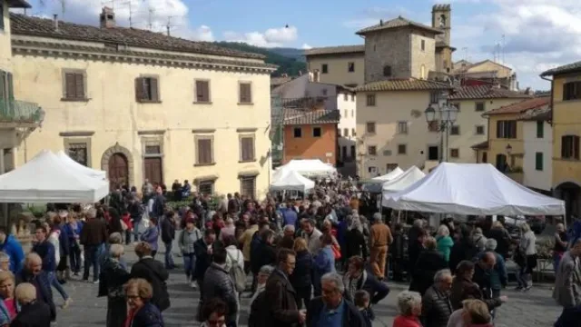 Descrizione immagine non disponibile