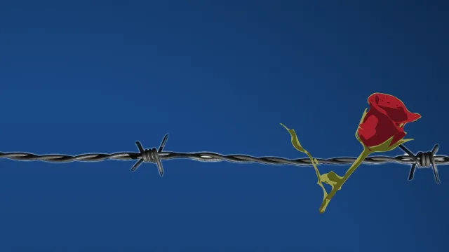 Descrizione immagine non disponibile