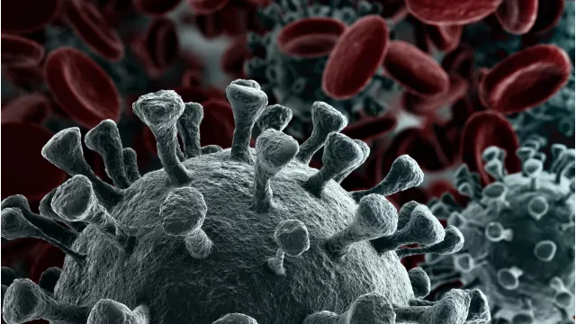 Descrizione immagine non disponibile