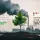 Dalla COP del petrolio alla COP delle foreste - Prospettive sul clima da Baku a Belem